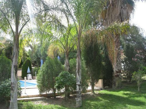 Zena Holiday Villa
