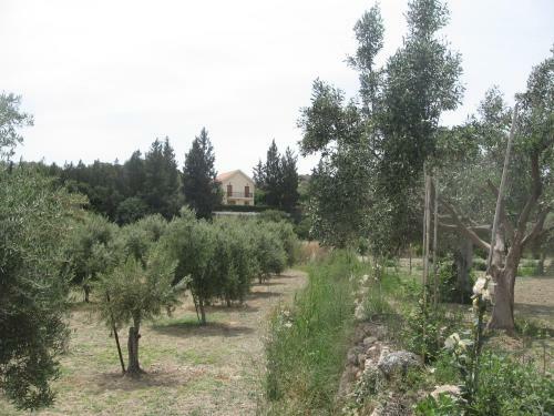 Zena Holiday Villa