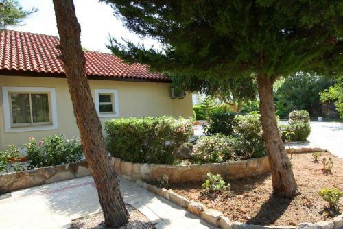 Alonia Villas