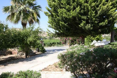 Alonia Villas