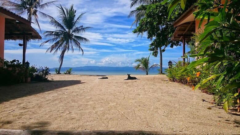 Hotel Papillon Bungalows