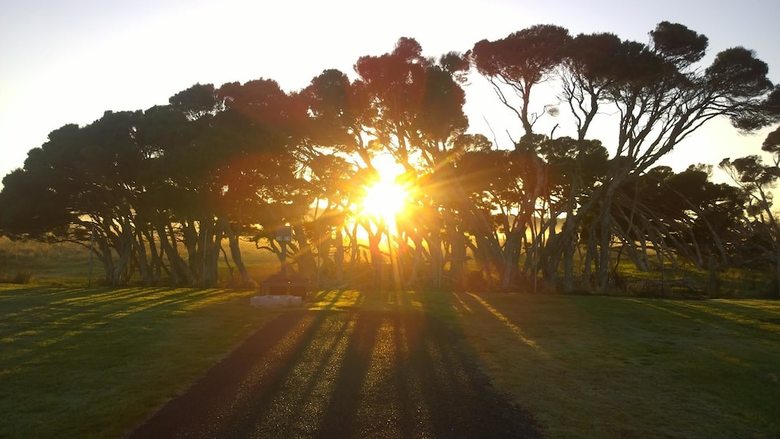 Low Head Tourist Park - Caravan Park