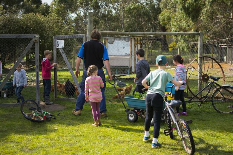 Freshwater Creek Cottages And Farm Stay