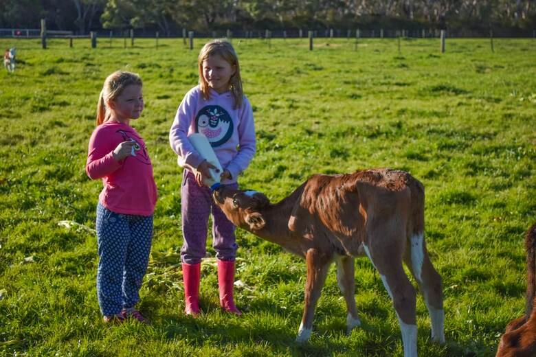 Freshwater Creek Cottages And Farm Stay