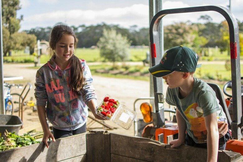 Freshwater Creek Cottages And Farm Stay