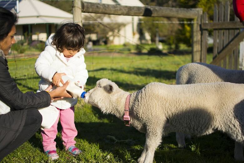 Freshwater Creek Cottages And Farm Stay