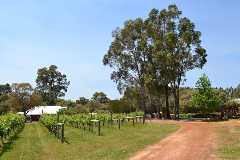 Island Brook Estate