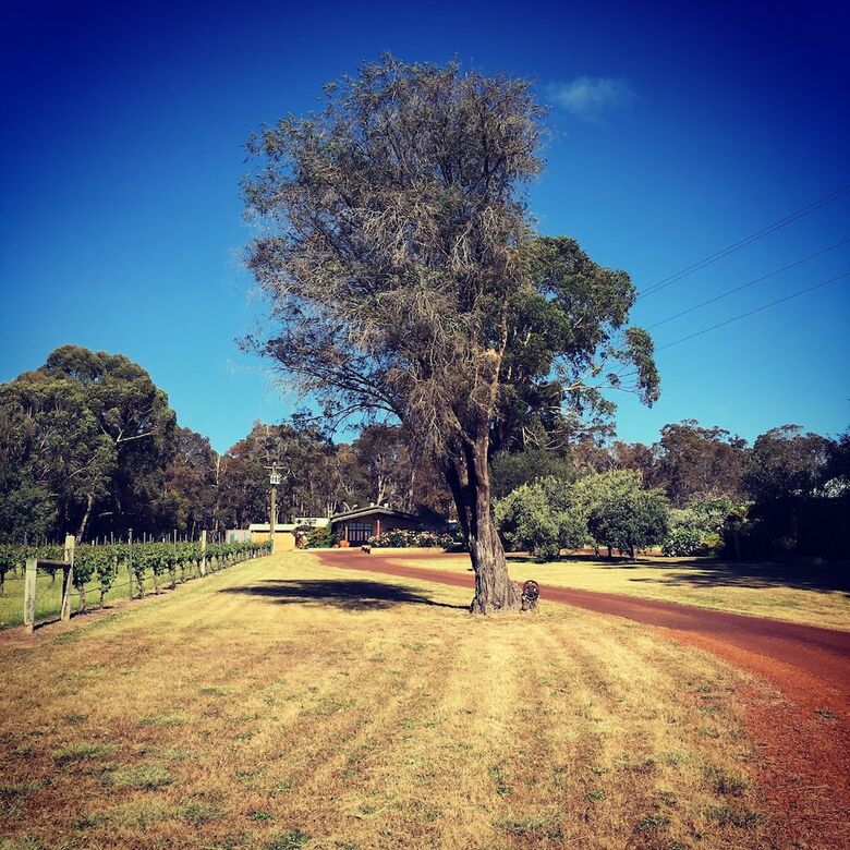 Island Brook Estate