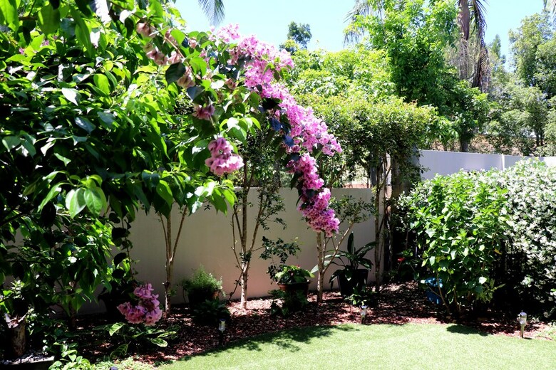 Apartamentos Papillon Coolum