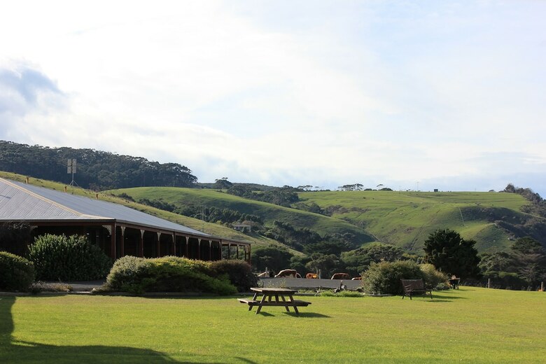Skenes Creek Lodge Motel And Restaurant