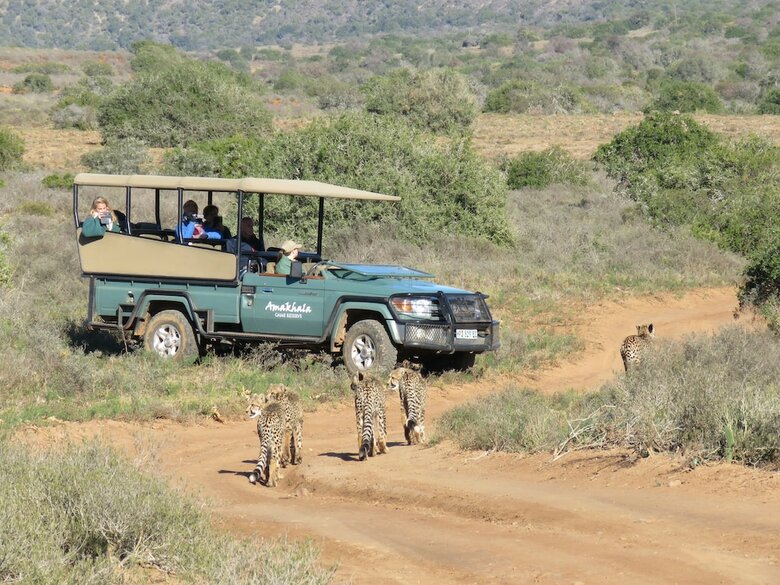 Posada Woodbury Lodge-amakhala Game Reserve