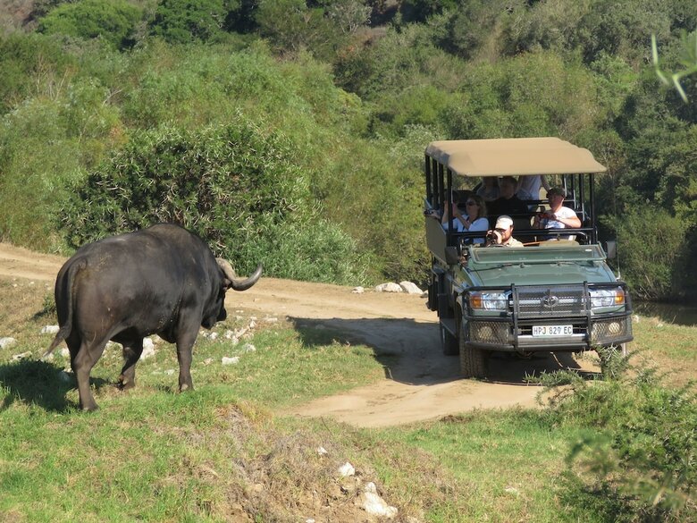 Posada Woodbury Lodge-amakhala Game Reserve