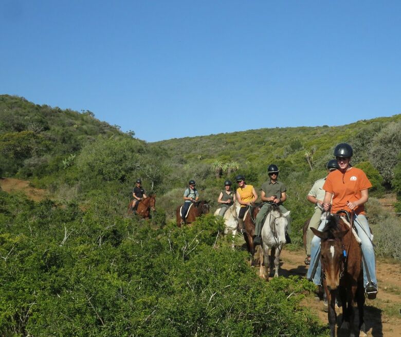 Posada Woodbury Lodge-amakhala Game Reserve
