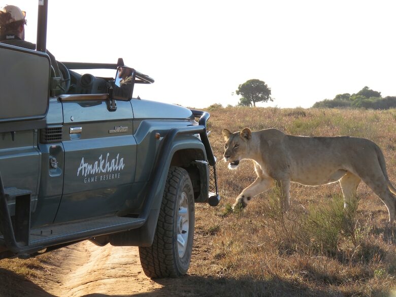 Posada Woodbury Tented Camp-amakhala Game Reserve