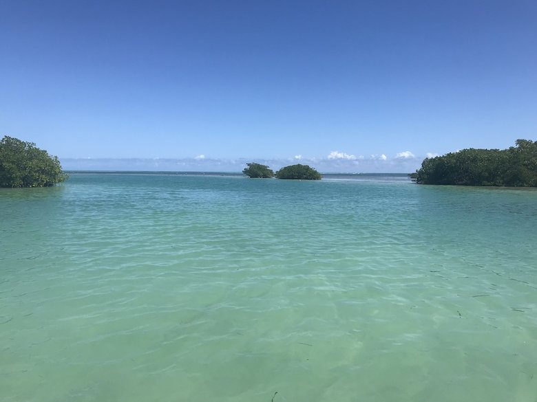 Royal Palm Island Resort