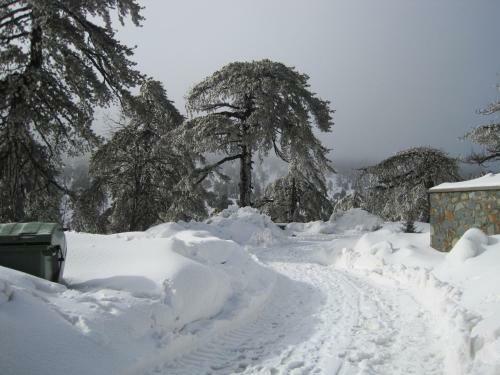 Villa Hesperides Gardens