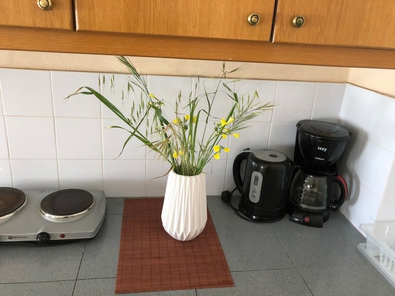 Oleander Apartments