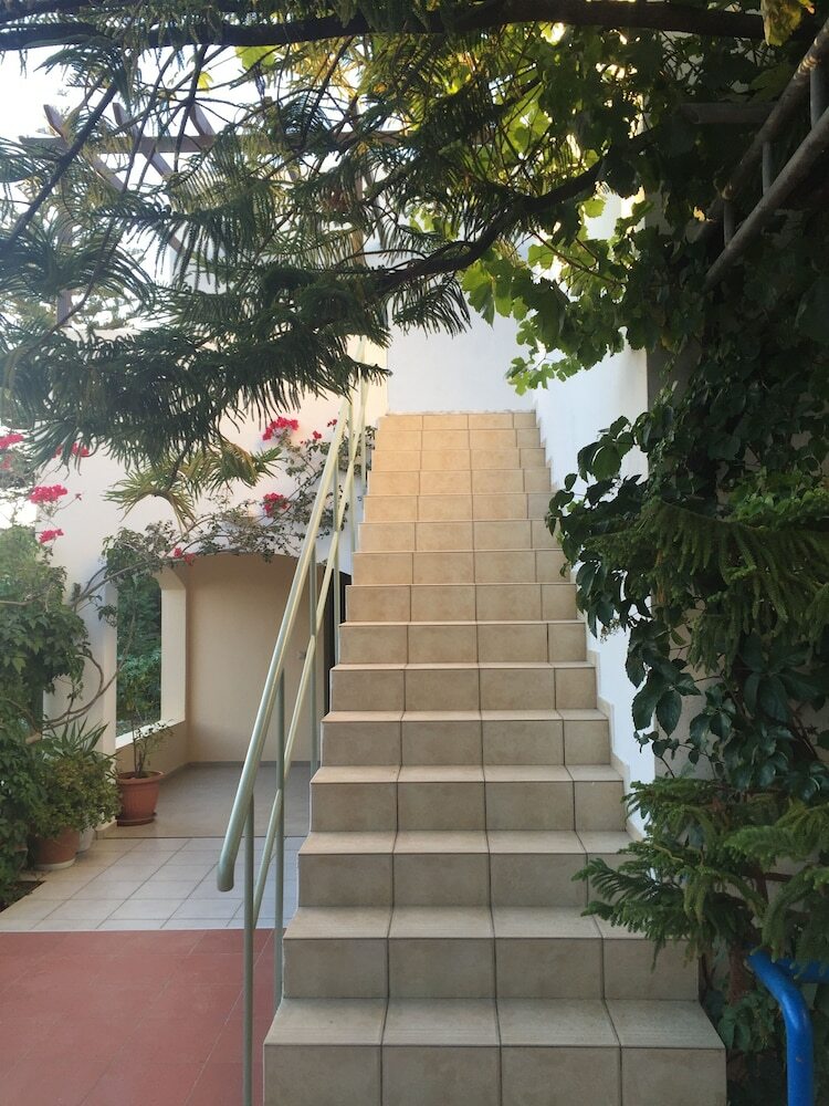 Oleander Apartments