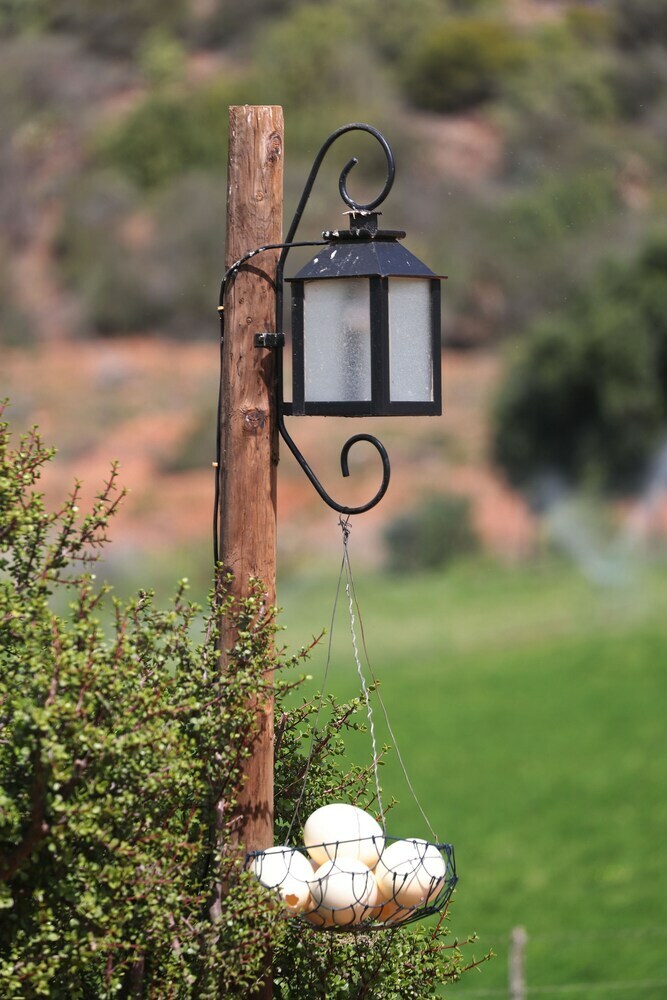 Agroturismo Berluda Farmhouse & Cottages