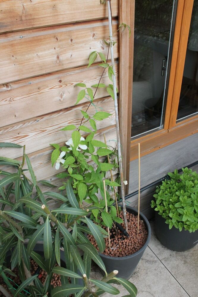 Apartamentos L'appartement Bordelais