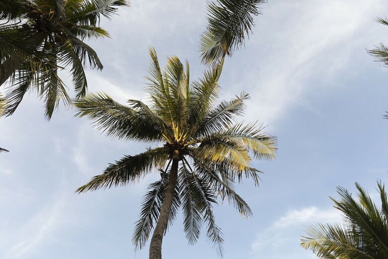 Hotel Dessole Beach Resort Muine