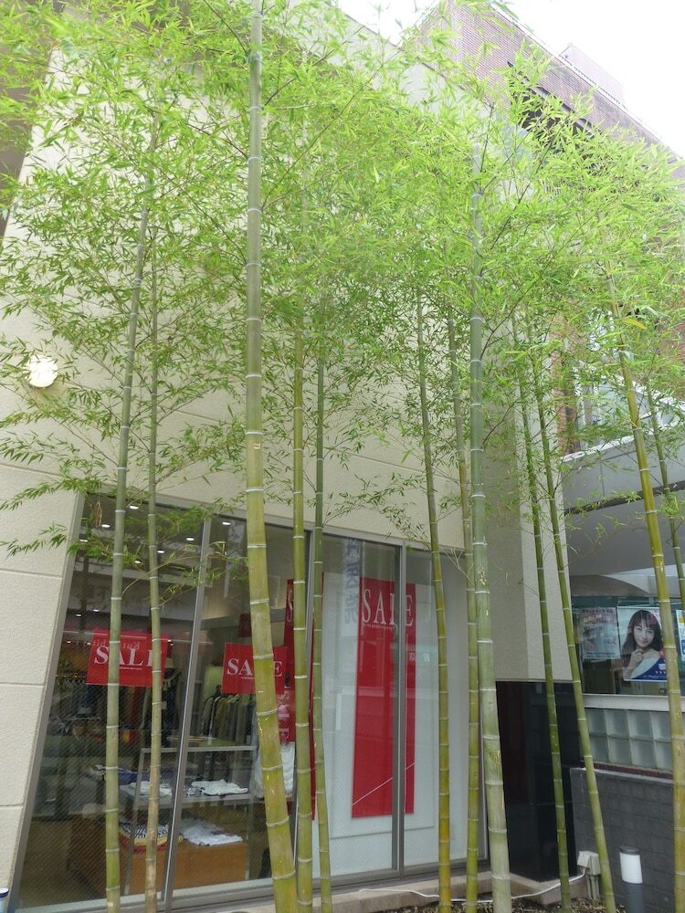 Hotel Hanakomichi