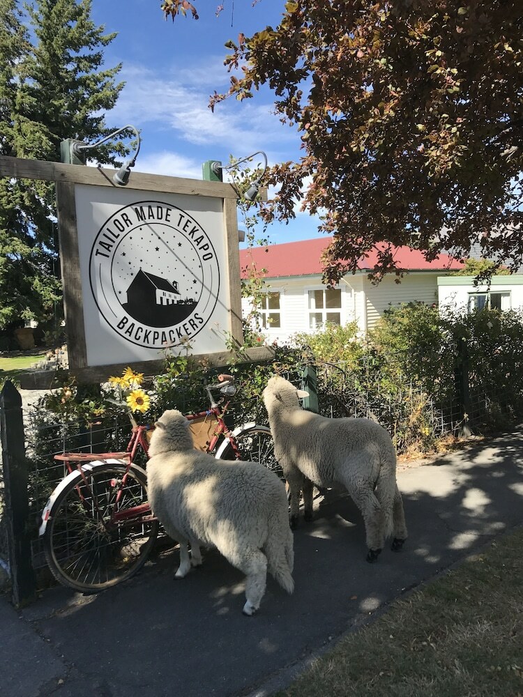 Hostal Tailor Made Tekapo Accommodation - Guesthouse & Hostel