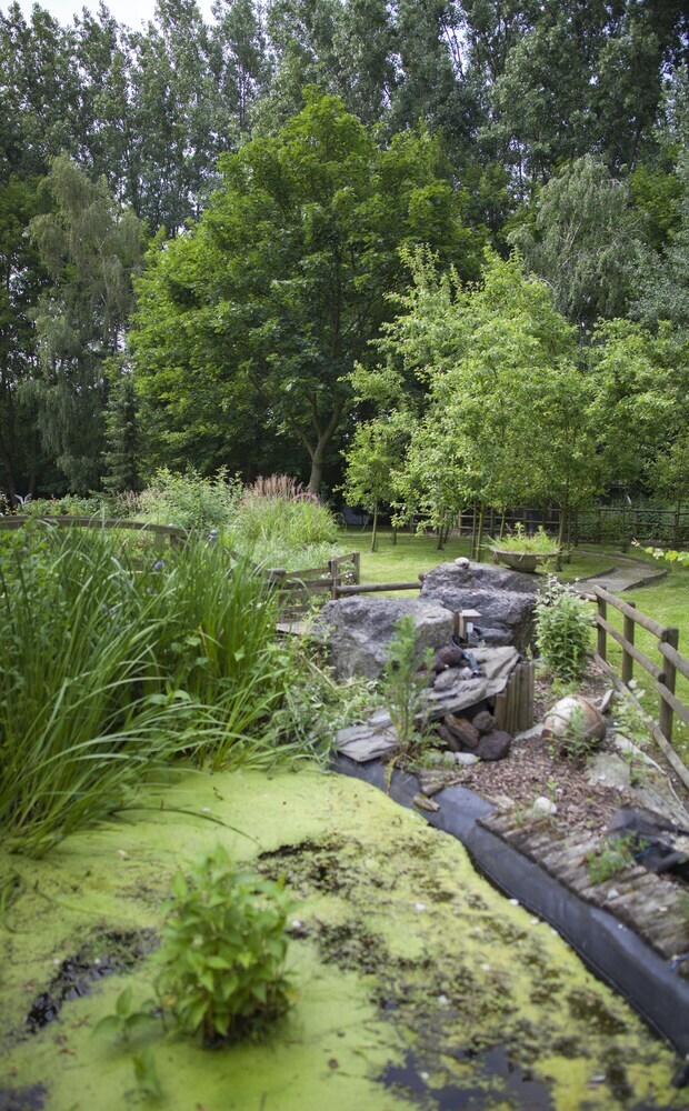 Comfort Hotel Garden Lille Tourcoing