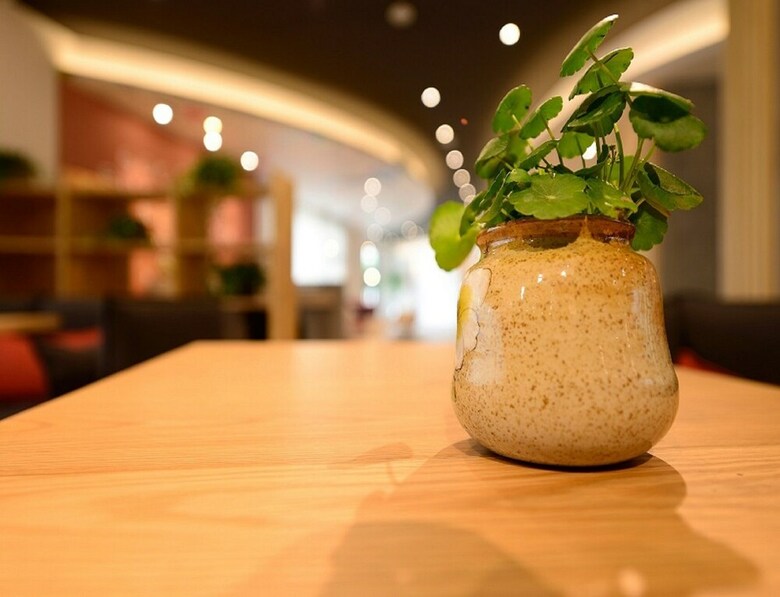 Hotel Ibis Shanghai New Hongqiao