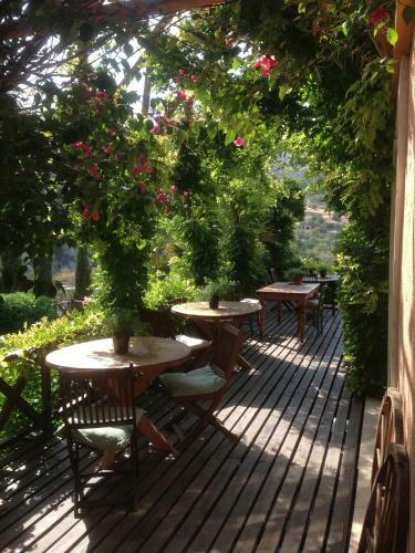 Villa Retreat B&B