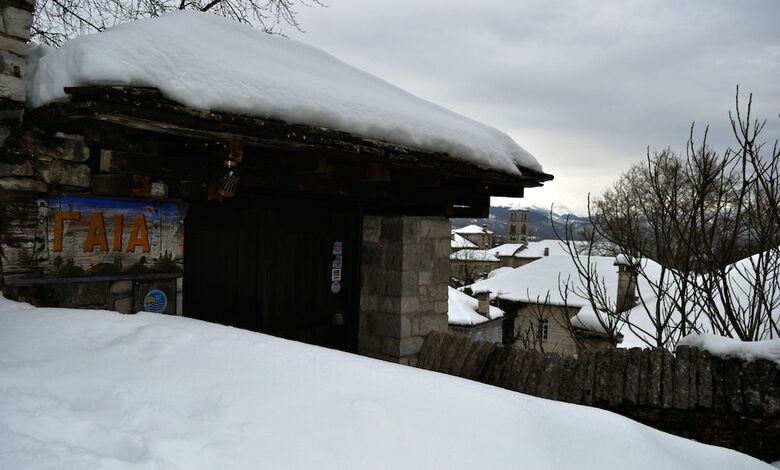 Hotel Gaia Guesthouse