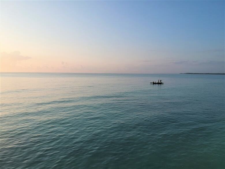 Hotel Seasons Lodge Zanzibar