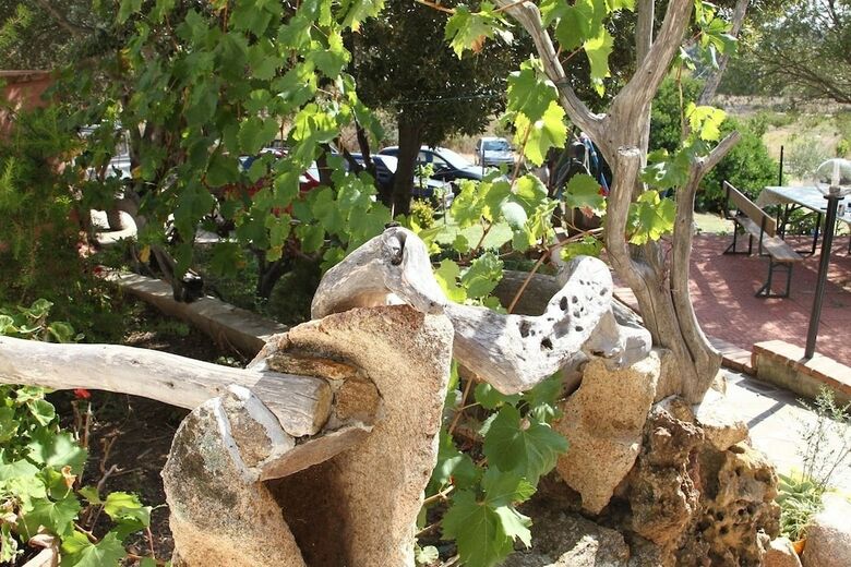 Agroturismo Agriturismo B&B Sa Inza