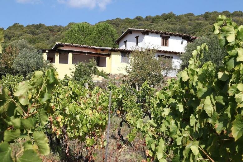 Agroturismo Agriturismo B&B Sa Inza