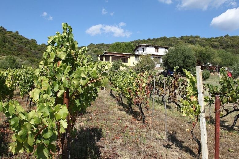Agroturismo Agriturismo B&B Sa Inza