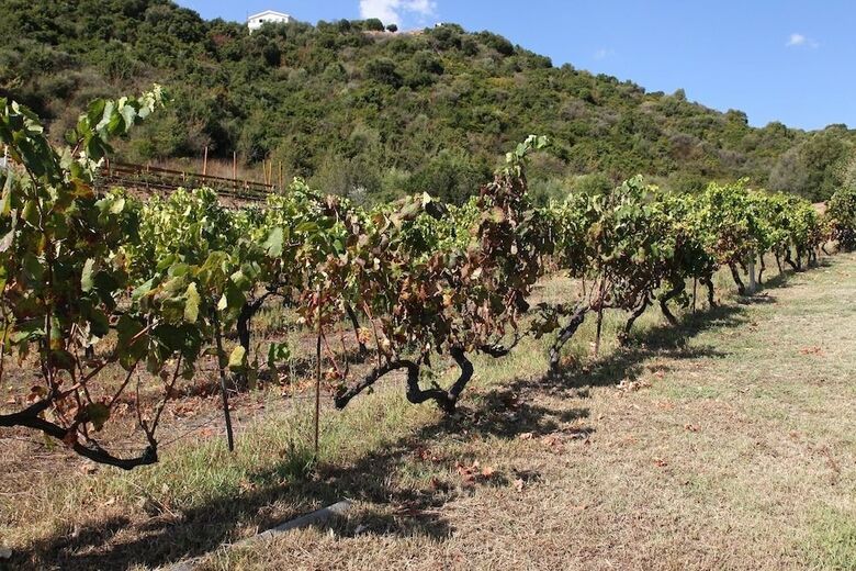 Agroturismo Agriturismo B&B Sa Inza