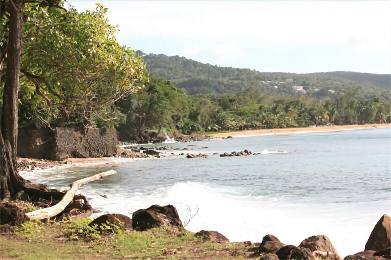 Oasis De Grande Anse