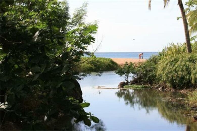 Oasis De Grande Anse
