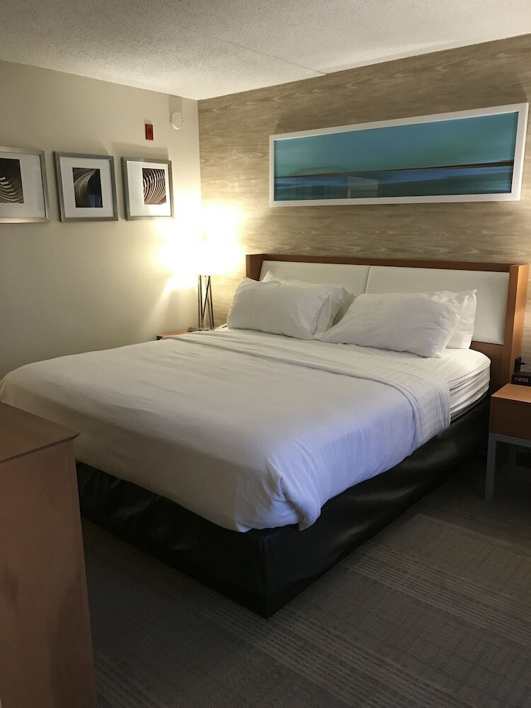Holiday Inn Hotel & Suites Bolingbrook