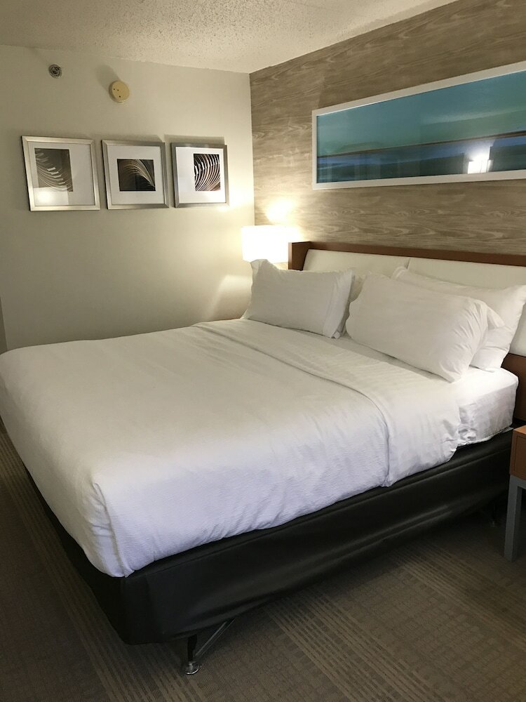 Holiday Inn Hotel & Suites Bolingbrook