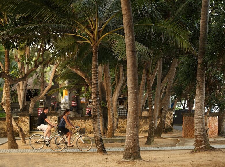 Hotel Puri Santrian