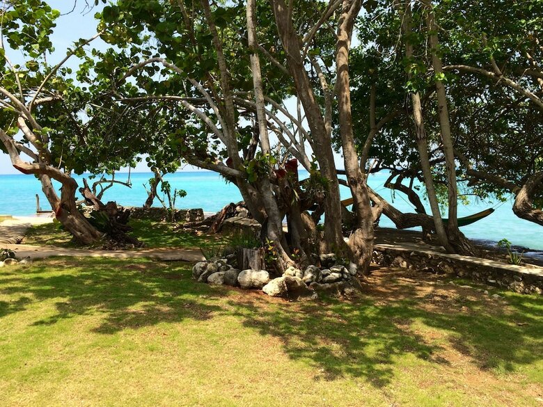 Little Bay Cabins
