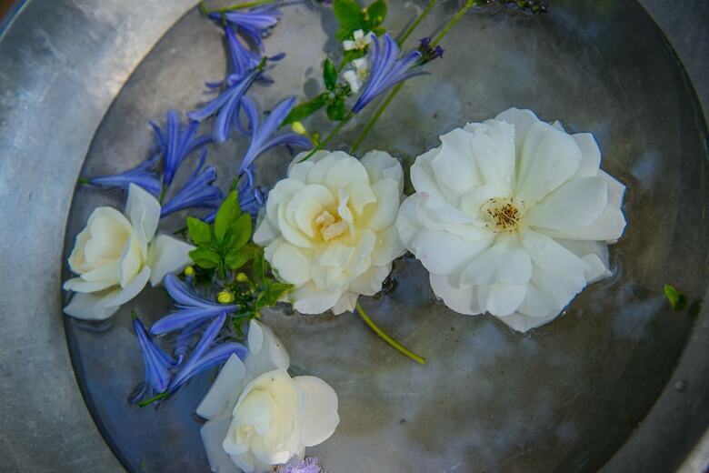 Posada Summerfields Rose Retreat & Spa