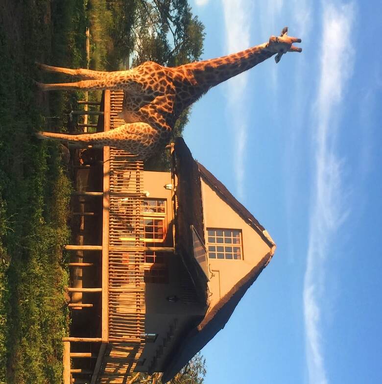 Posada Ukuthula Lodge