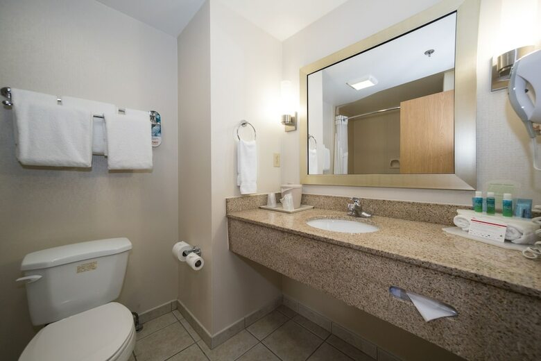 Hotel Holiday Inn Express & Suites Vicksburg