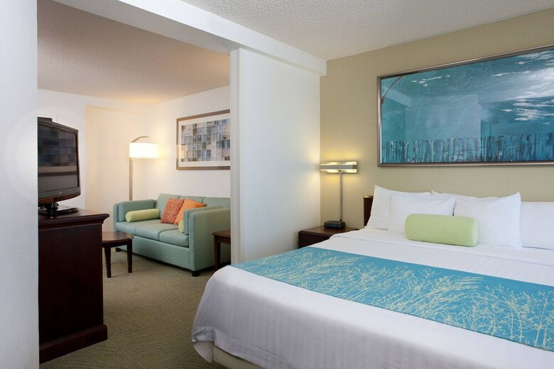 Hotel Springhill Suites By Marriott Norfolk Virginia Beach