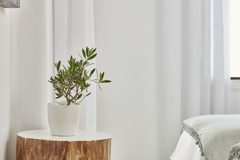 Hotel Mykonos No5