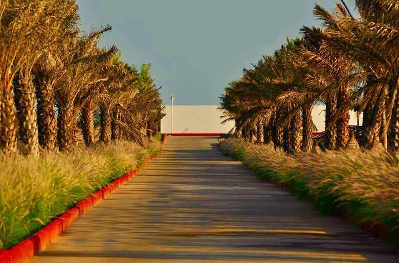 Hotel Serena Beach Resort