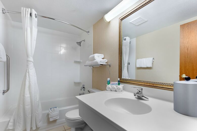 Hotel Holiday Inn Express Chicago-downers Grove