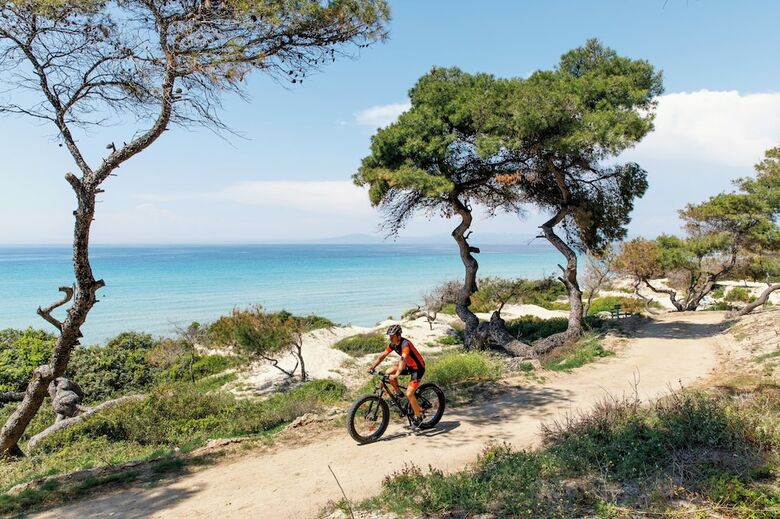 Hotel Sani Asterias